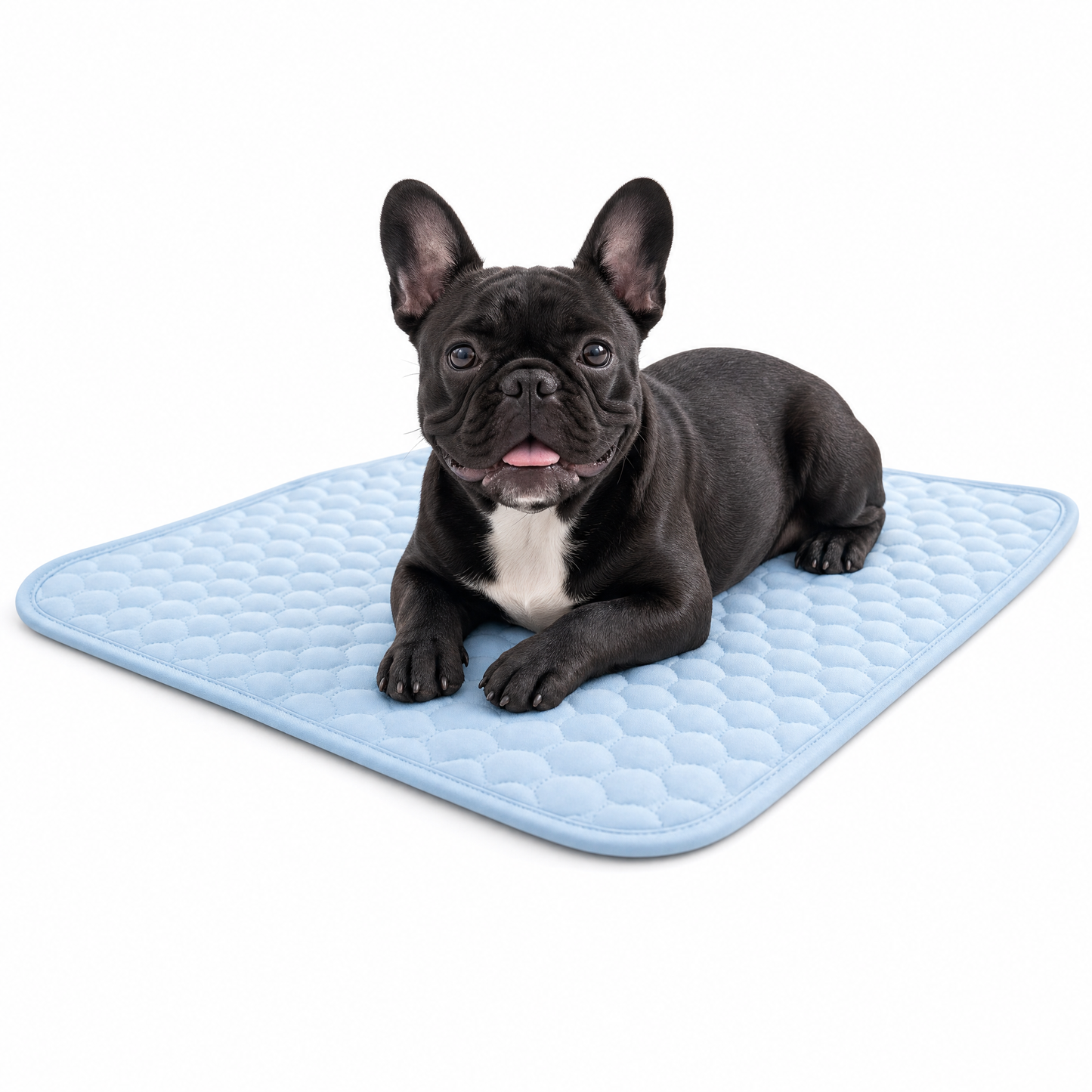 Reveta™ - Dog Cooling Mat 2.0
